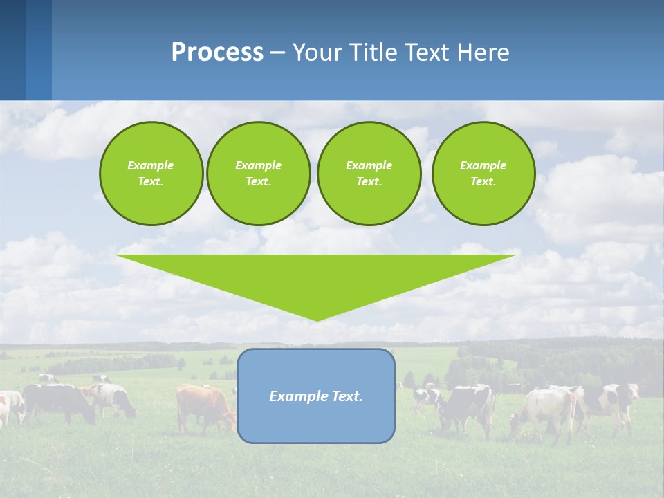 Cows In The Field PowerPoint Template