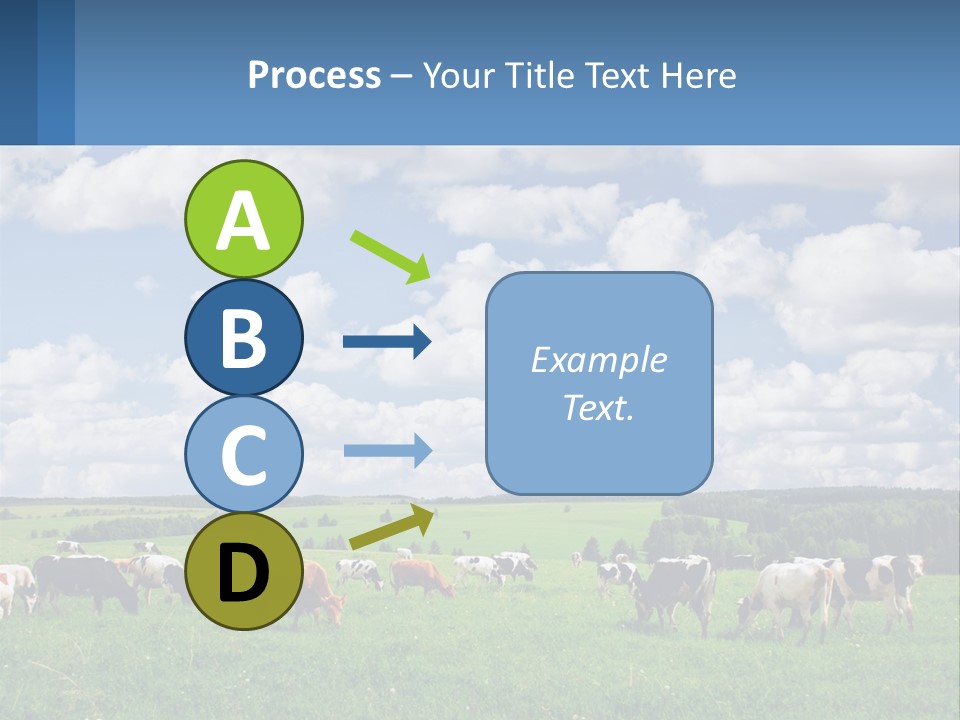 Cows In The Field PowerPoint Template