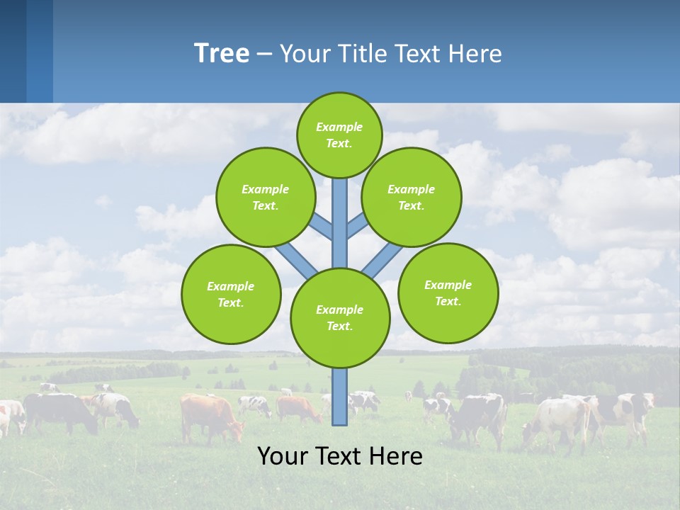 Cows In The Field PowerPoint Template