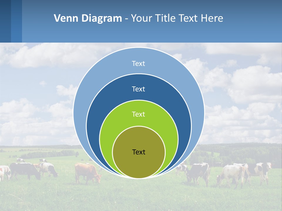 Cows In The Field PowerPoint Template