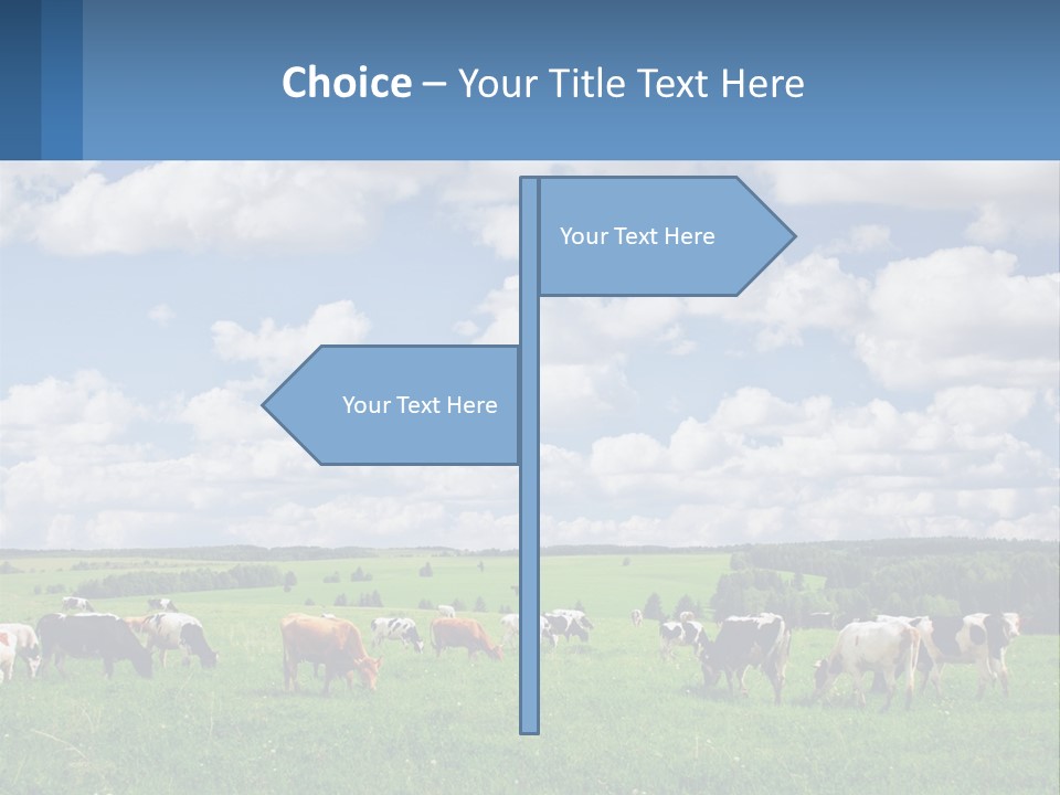 Cows In The Field PowerPoint Template