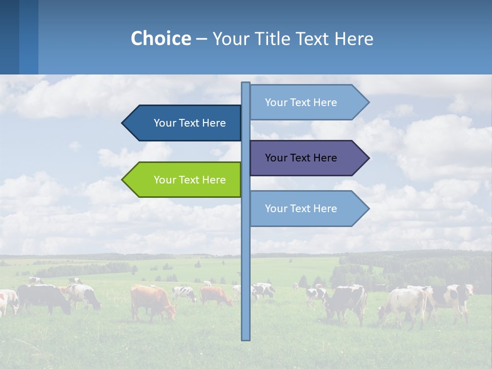 Cows In The Field PowerPoint Template