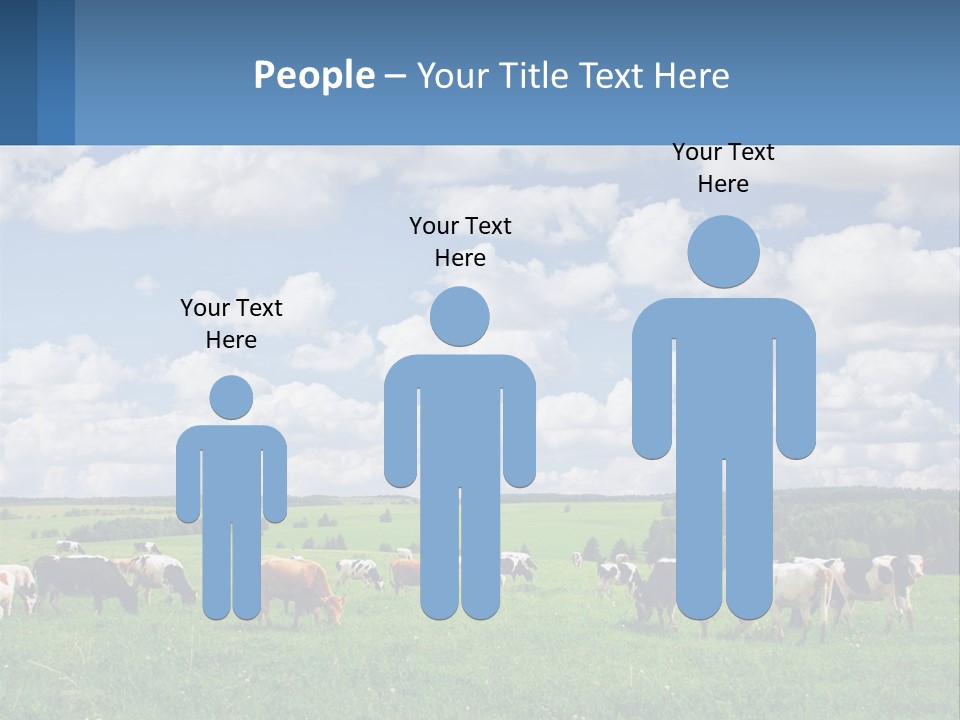 Cows In The Field PowerPoint Template
