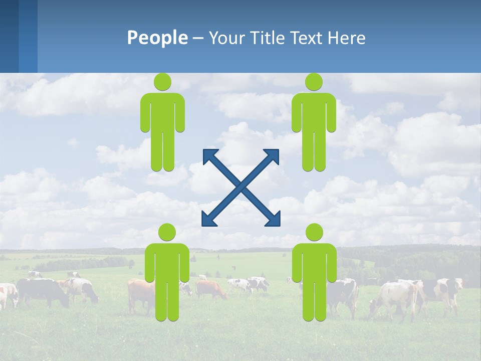 Cows In The Field PowerPoint Template
