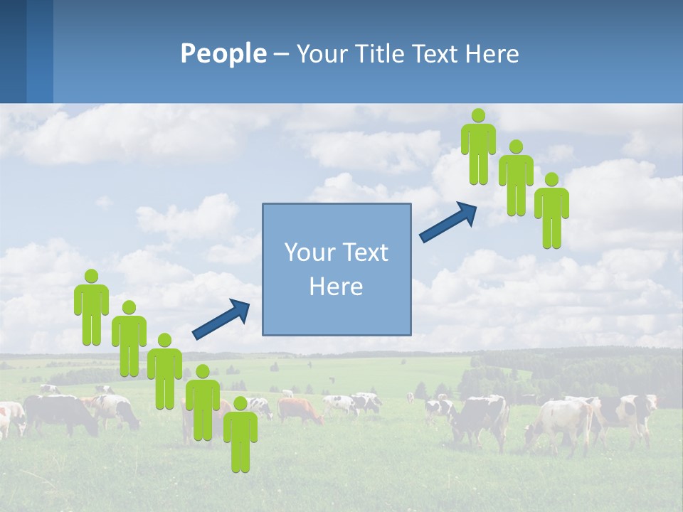 Cows In The Field PowerPoint Template