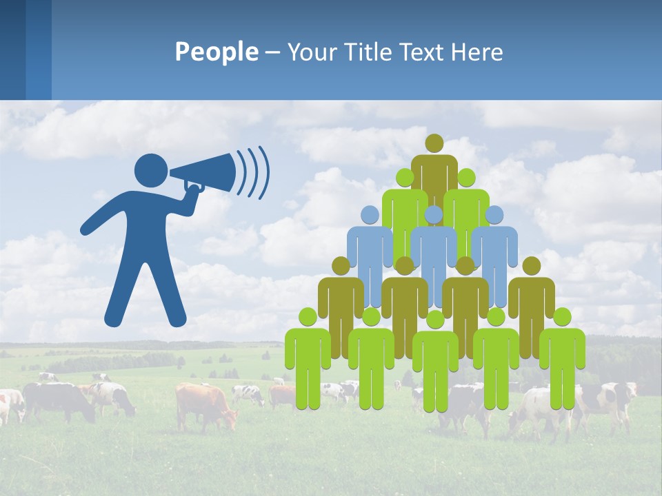 Cows In The Field PowerPoint Template