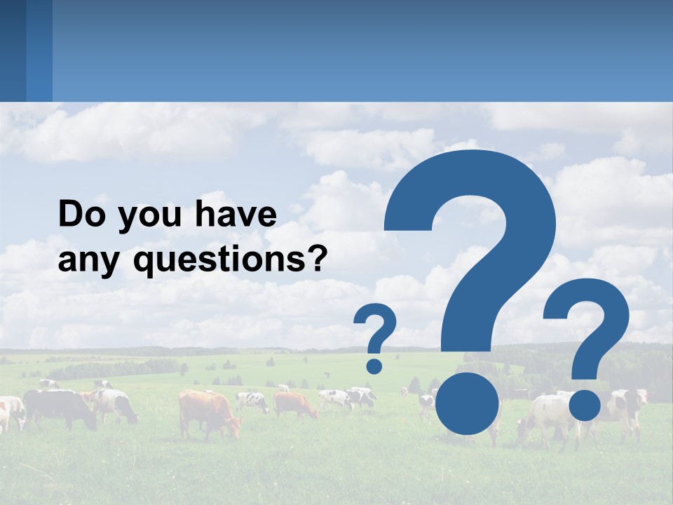 Cows In The Field PowerPoint Template