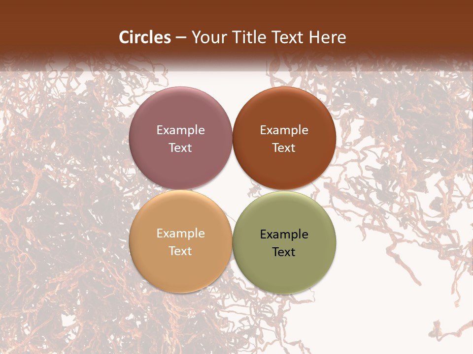 Man Rent Buy PowerPoint Template