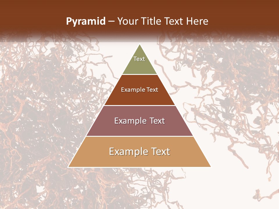 Man Rent Buy PowerPoint Template