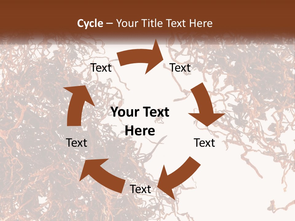 Man Rent Buy PowerPoint Template