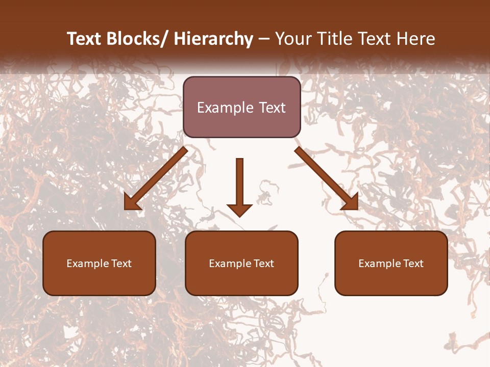 Man Rent Buy PowerPoint Template