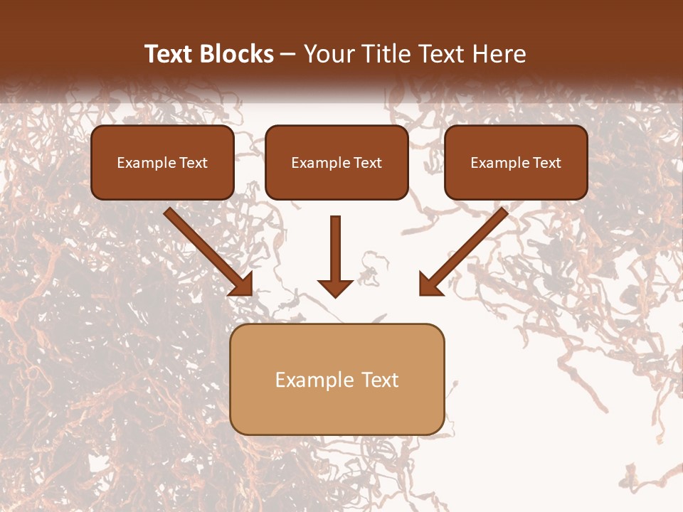 Man Rent Buy PowerPoint Template