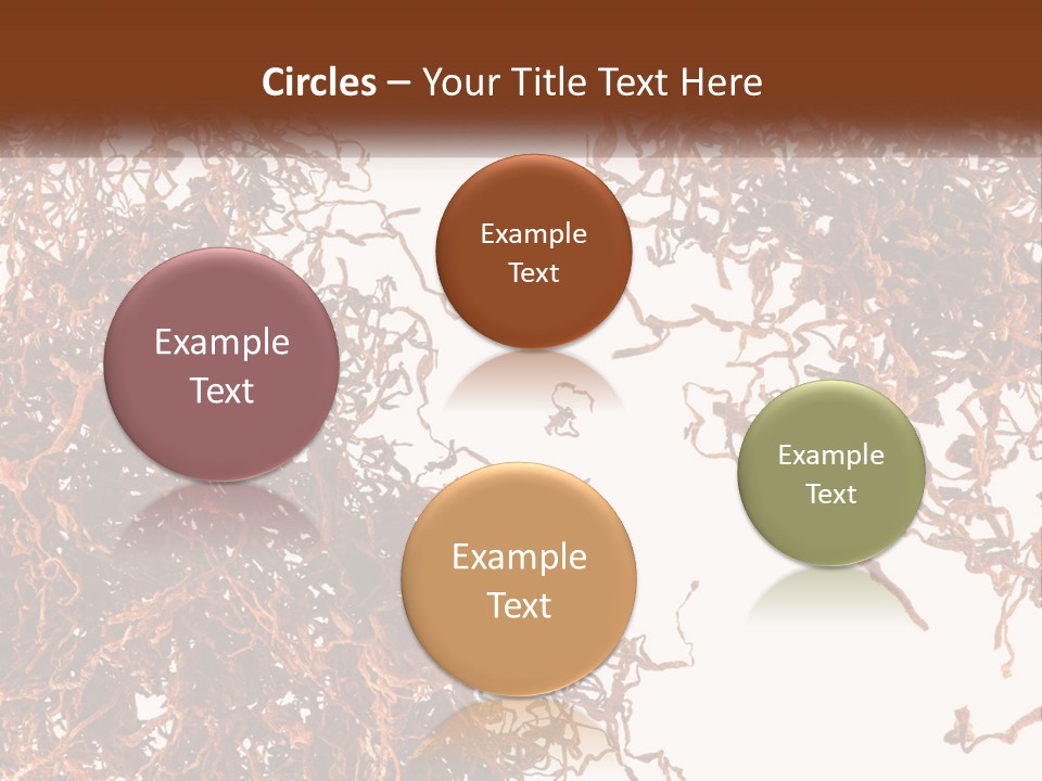 Man Rent Buy PowerPoint Template