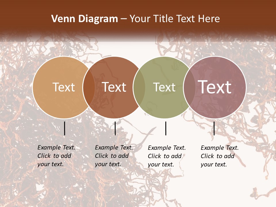 Man Rent Buy PowerPoint Template