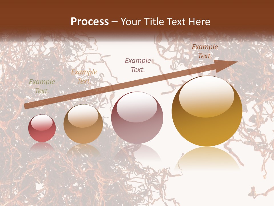 Man Rent Buy PowerPoint Template