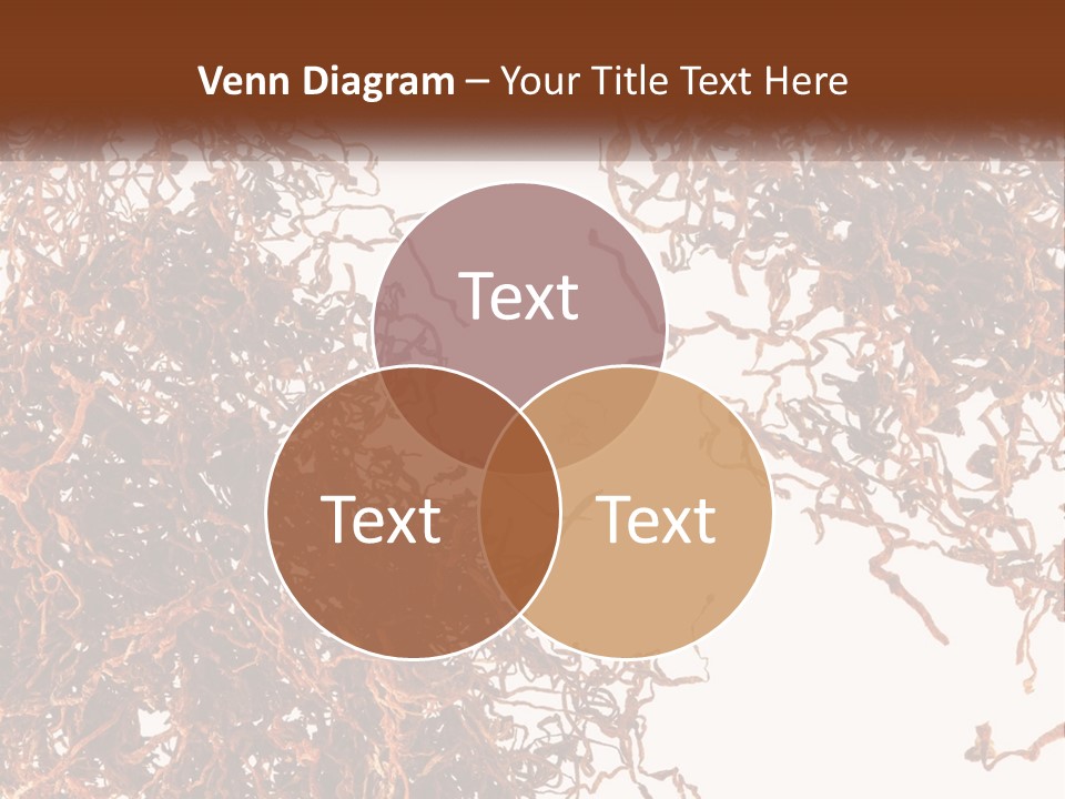 Man Rent Buy PowerPoint Template