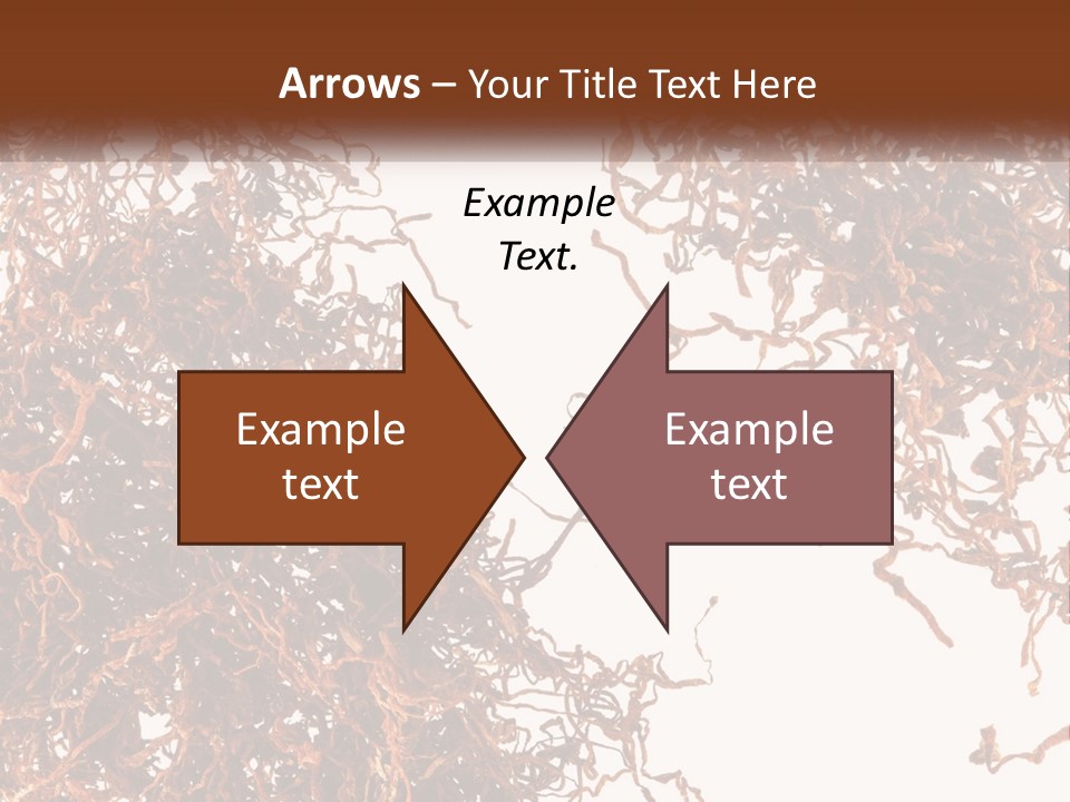 Man Rent Buy PowerPoint Template