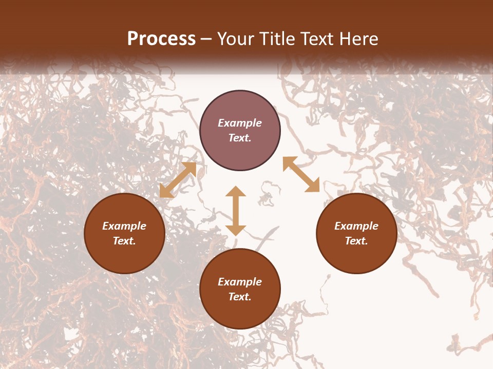 Man Rent Buy PowerPoint Template