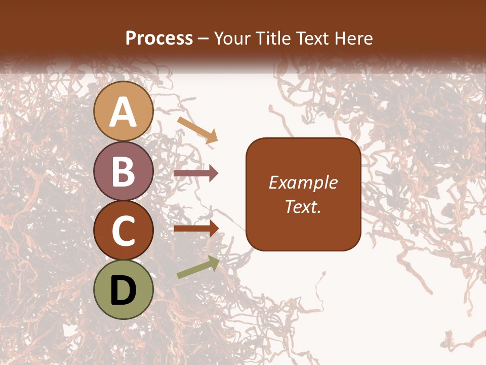 Man Rent Buy PowerPoint Template