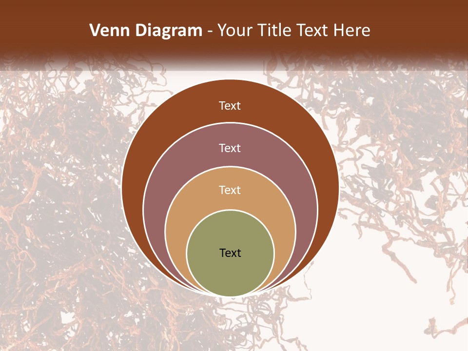 Man Rent Buy PowerPoint Template