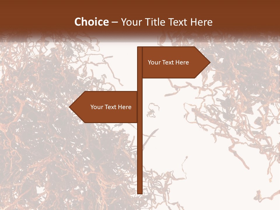 Man Rent Buy PowerPoint Template