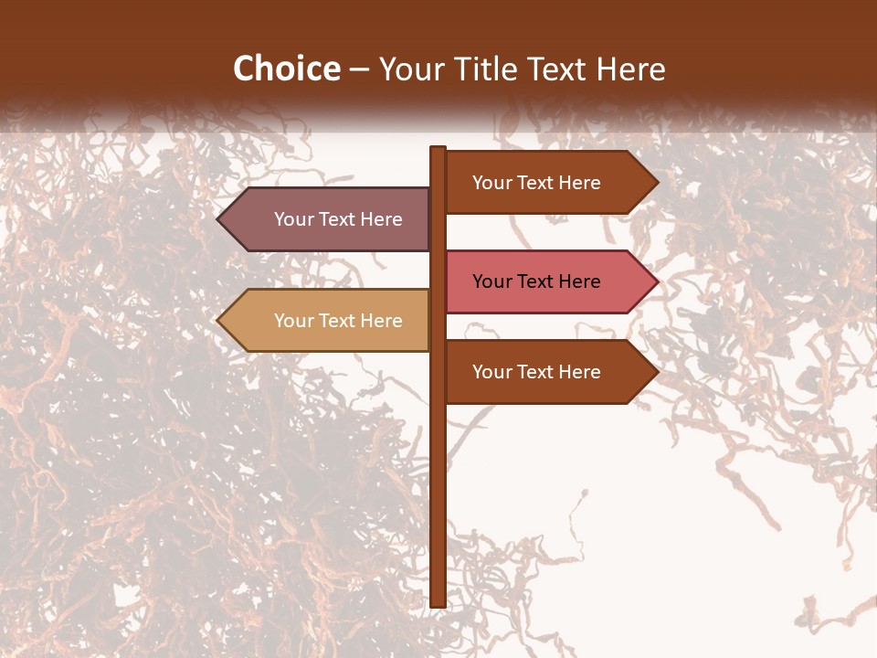 Man Rent Buy PowerPoint Template