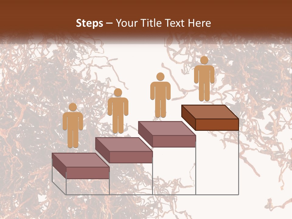 Man Rent Buy PowerPoint Template