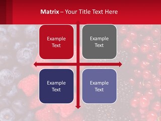 New Holding Rent PowerPoint Template