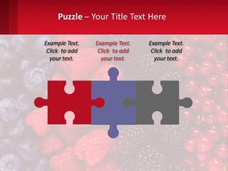 New Holding Rent PowerPoint Template