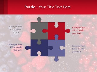 New Holding Rent PowerPoint Template