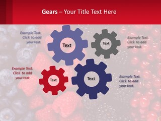 New Holding Rent PowerPoint Template