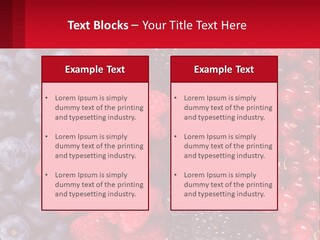 New Holding Rent PowerPoint Template
