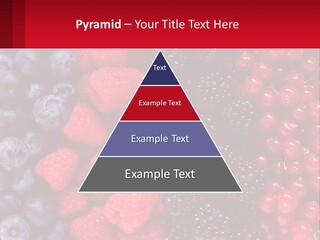 New Holding Rent PowerPoint Template