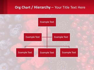 New Holding Rent PowerPoint Template