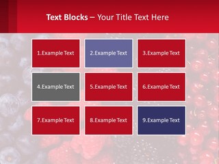 New Holding Rent PowerPoint Template