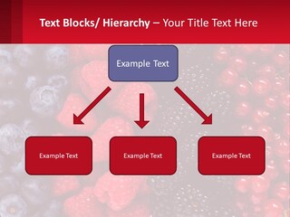 New Holding Rent PowerPoint Template