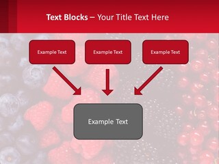 New Holding Rent PowerPoint Template