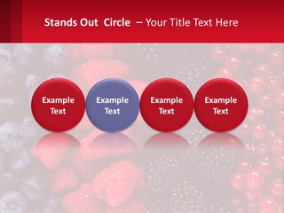 New Holding Rent PowerPoint Template