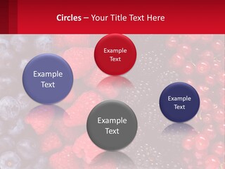 New Holding Rent PowerPoint Template