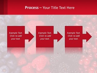 New Holding Rent PowerPoint Template