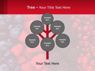 New Holding Rent PowerPoint Template