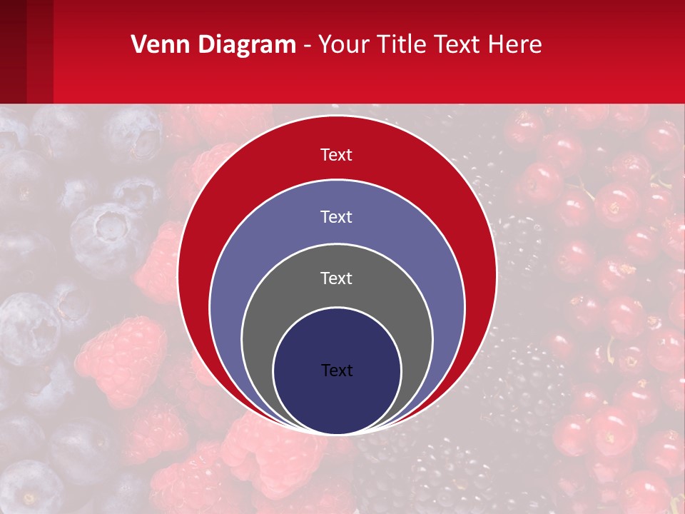 New Holding Rent PowerPoint Template