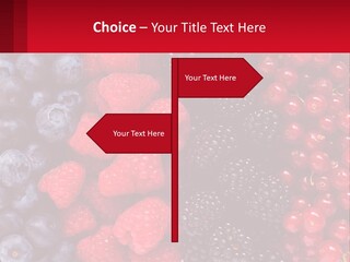 New Holding Rent PowerPoint Template