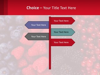New Holding Rent PowerPoint Template