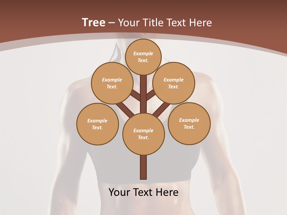 Model Conceptual Construction PowerPoint Template