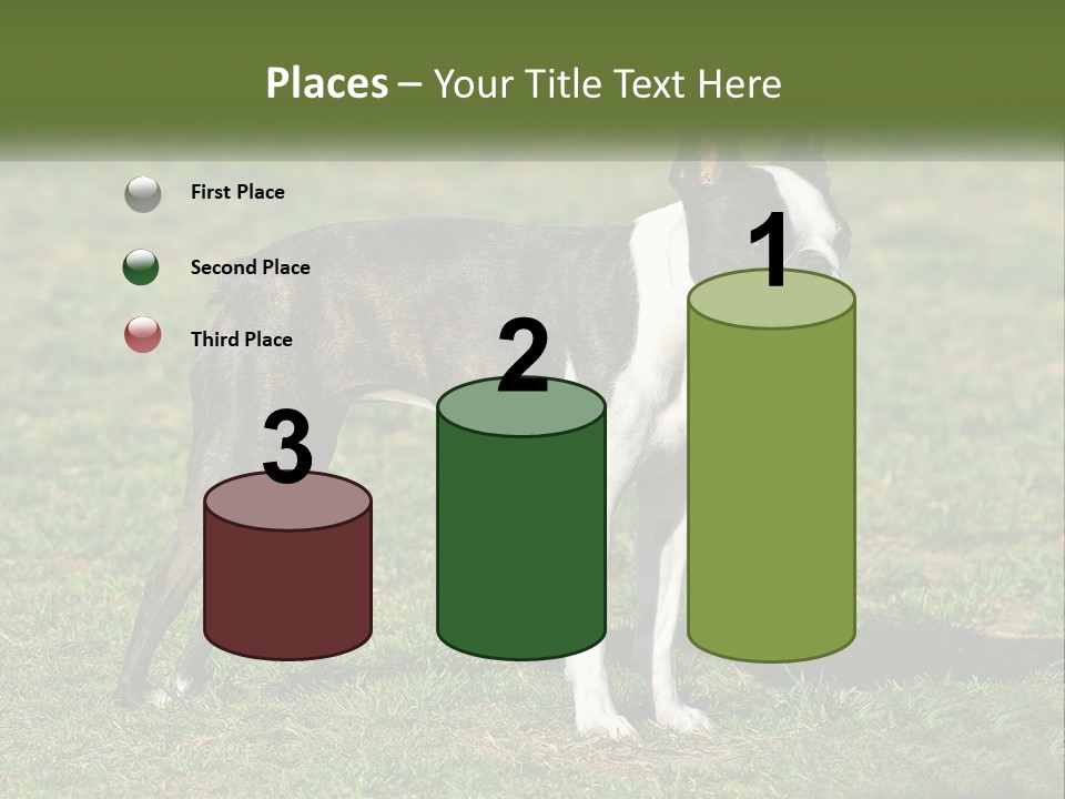 Ownership Home Loan PowerPoint Template