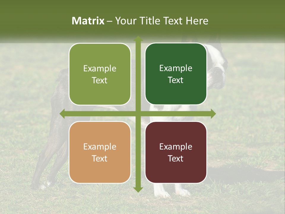 Ownership Home Loan PowerPoint Template