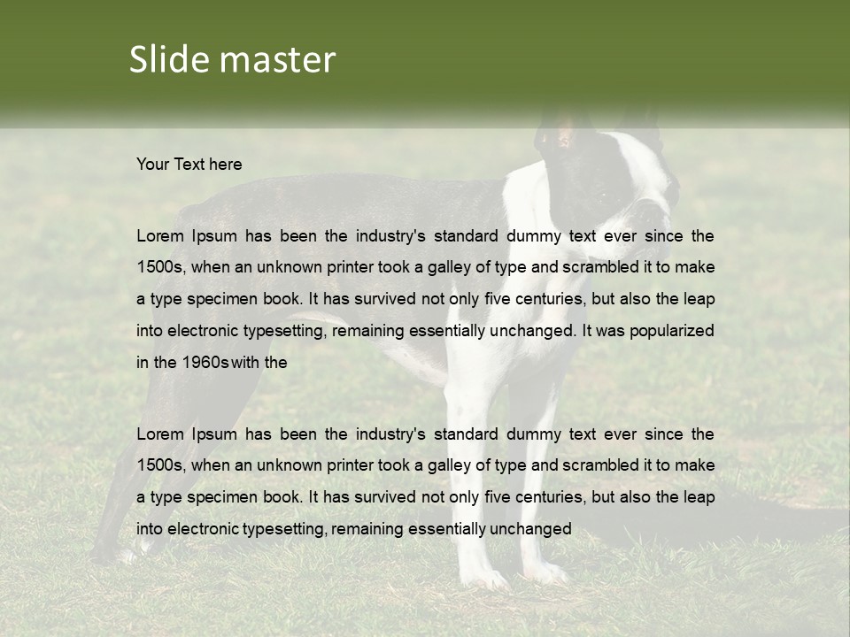 Ownership Home Loan PowerPoint Template