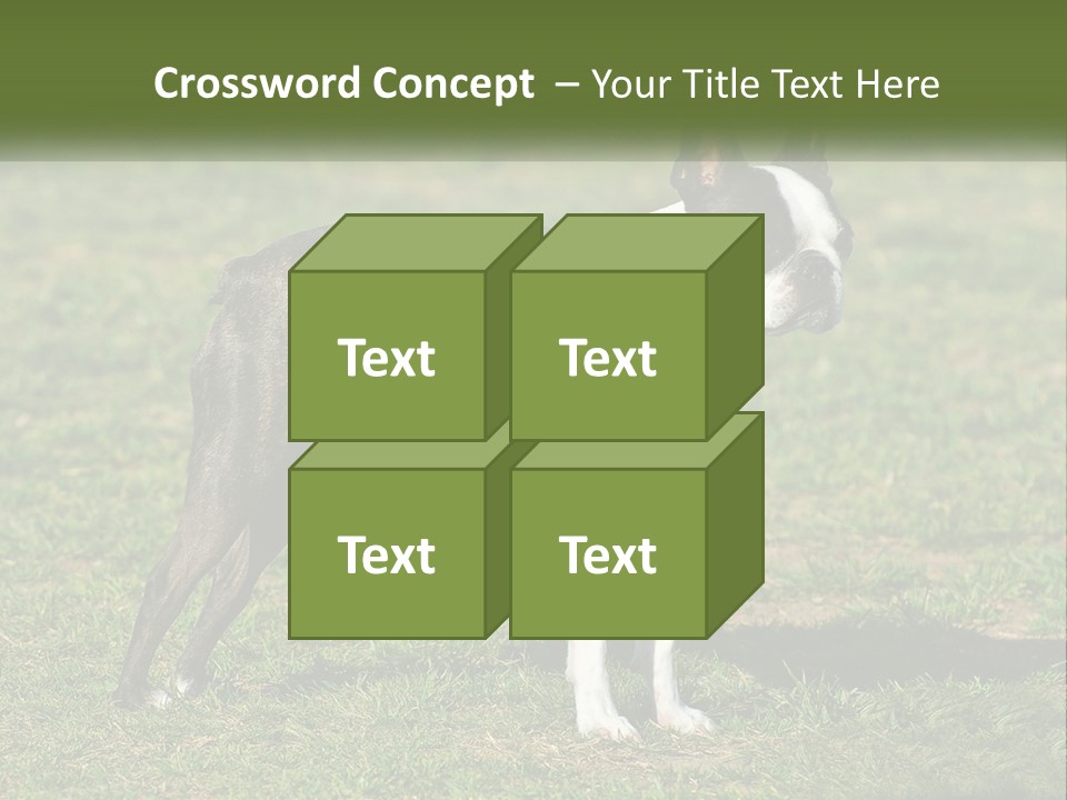 Ownership Home Loan PowerPoint Template
