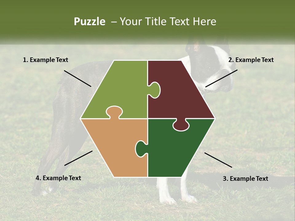 Ownership Home Loan PowerPoint Template